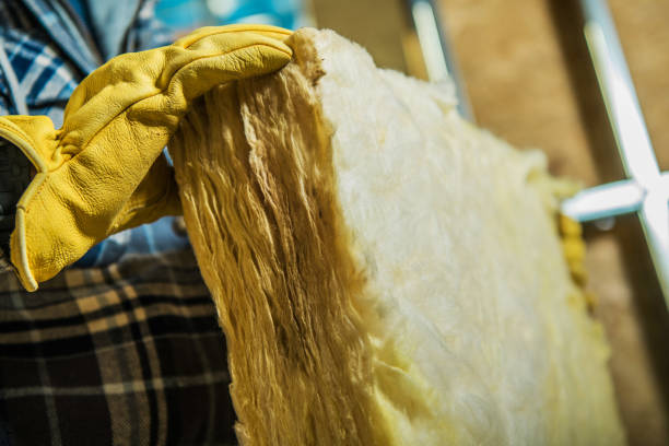 Best Insulation Maintenance and Repair in Lansing, IL
