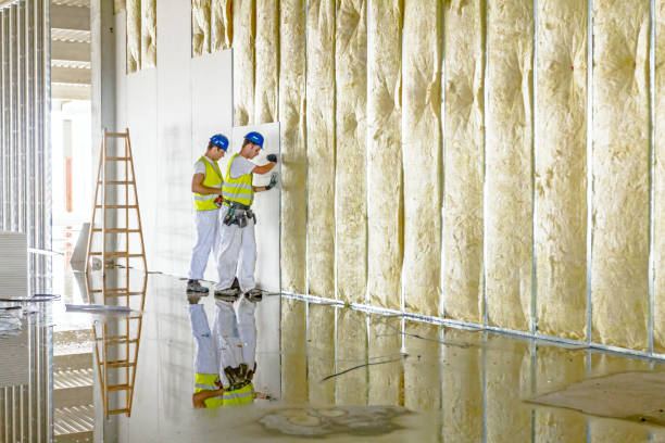 Best Commercial Insulation in Lansing, IL